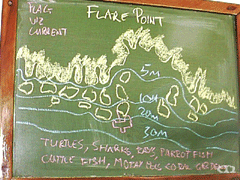 Flare point̃_CrO|Cg