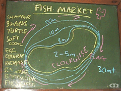 Fish Market̃_CrO|Cg