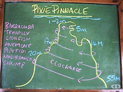 Pixie Pinnaclẽ_CrO|Cg