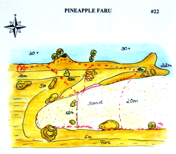 Pineapple FaruPointMap