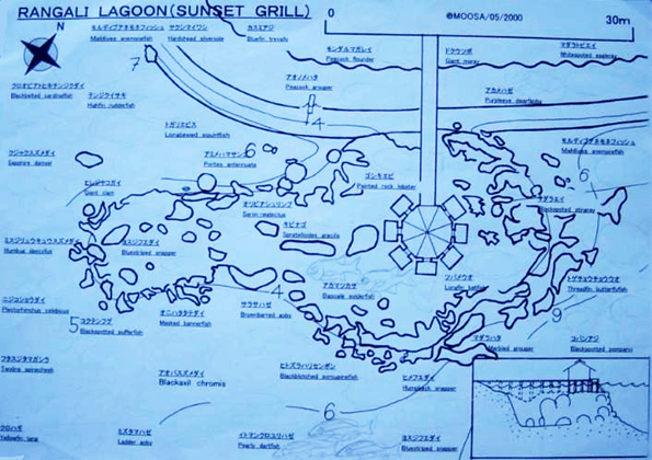 Rangali Sunset ReefPointMap
