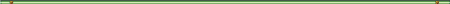 棒型450_green