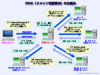 ドメイン名前解決の処理手順