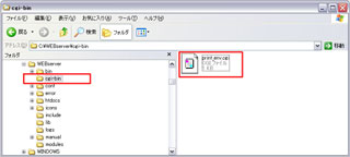 「/cgi_bin/」に『print_env.cgi』プログラムを設置