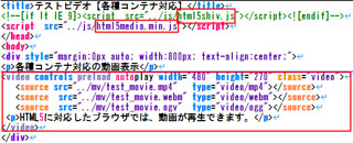 html5ドキュメントでのvideo要素タグの記述例
