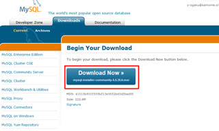 『Download Now』ボタンをクリックでダウンロード実行