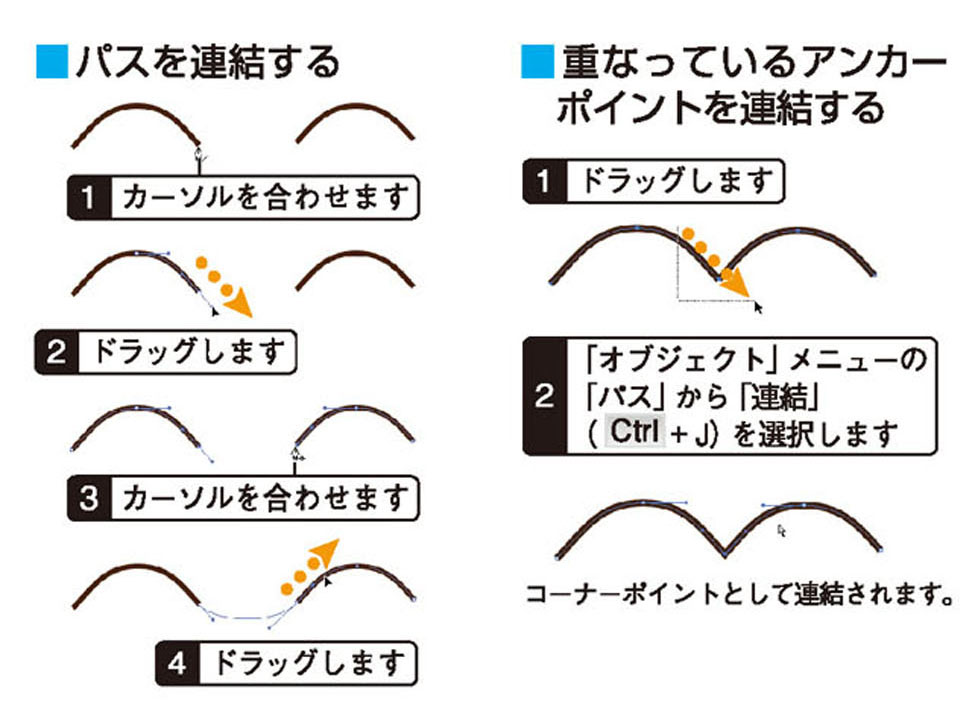 画像il_cgweb23_4