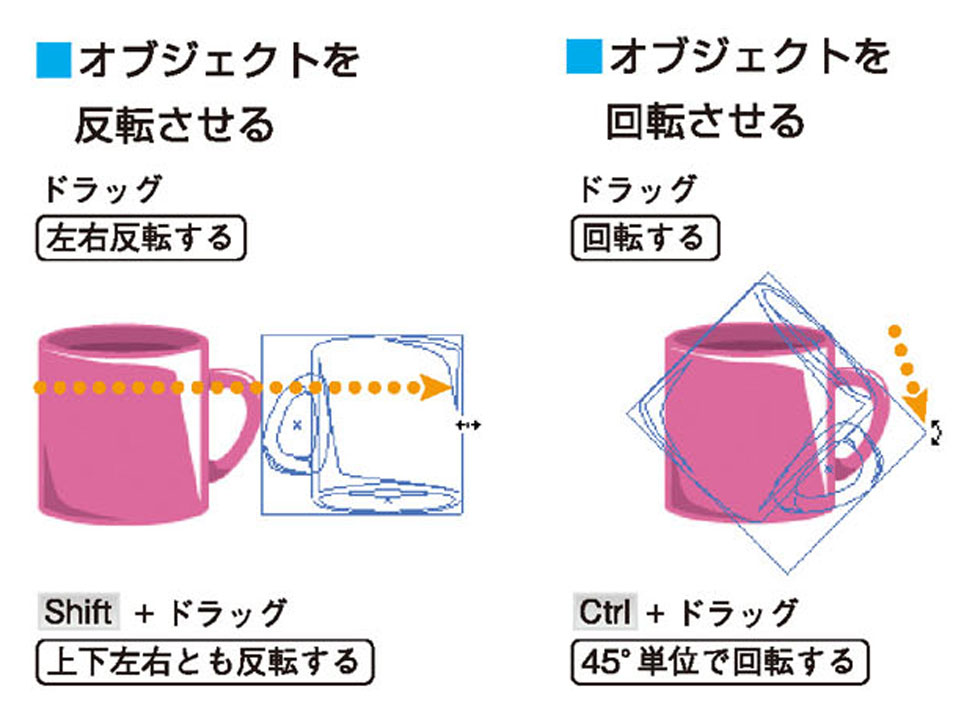 画像il_cgweb41_2