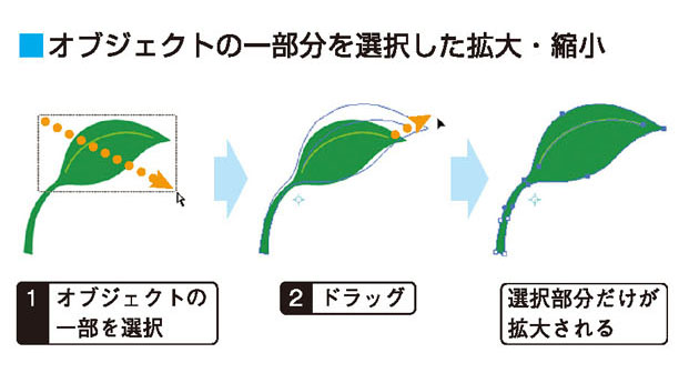 画像il_cgweb42_4