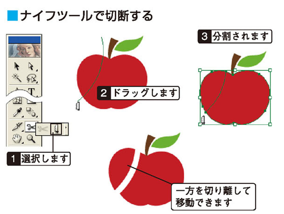 画像il_cgweb48_2