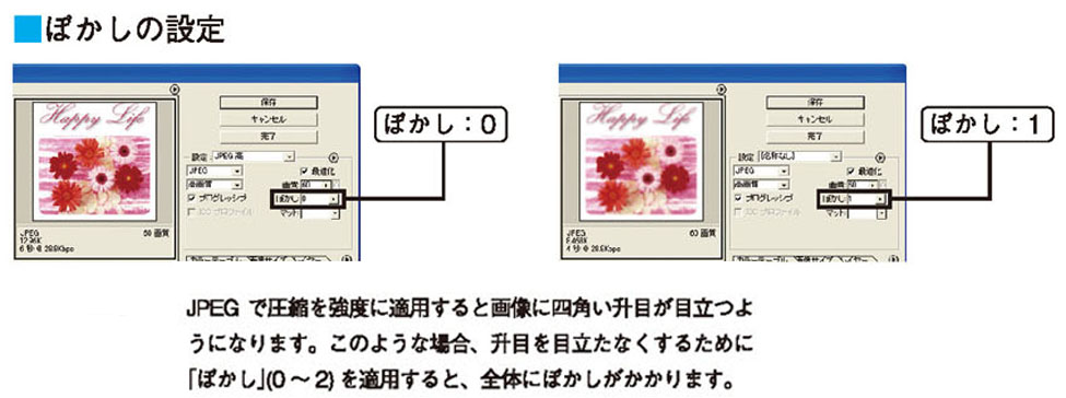 画像il_cgweb72_2