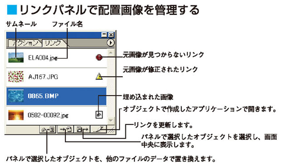 画像il_cgweb73_5