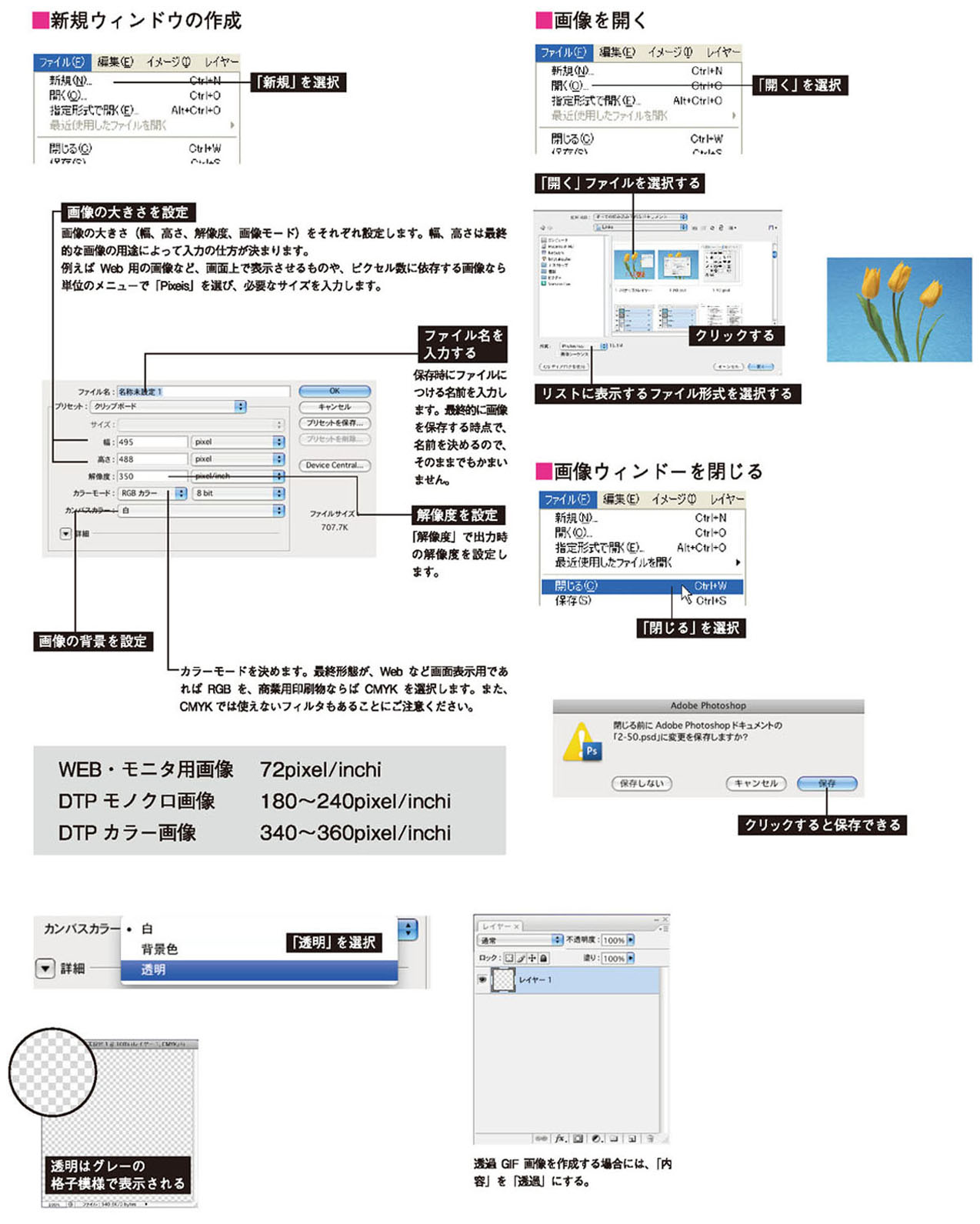 画像ph_cgweb12