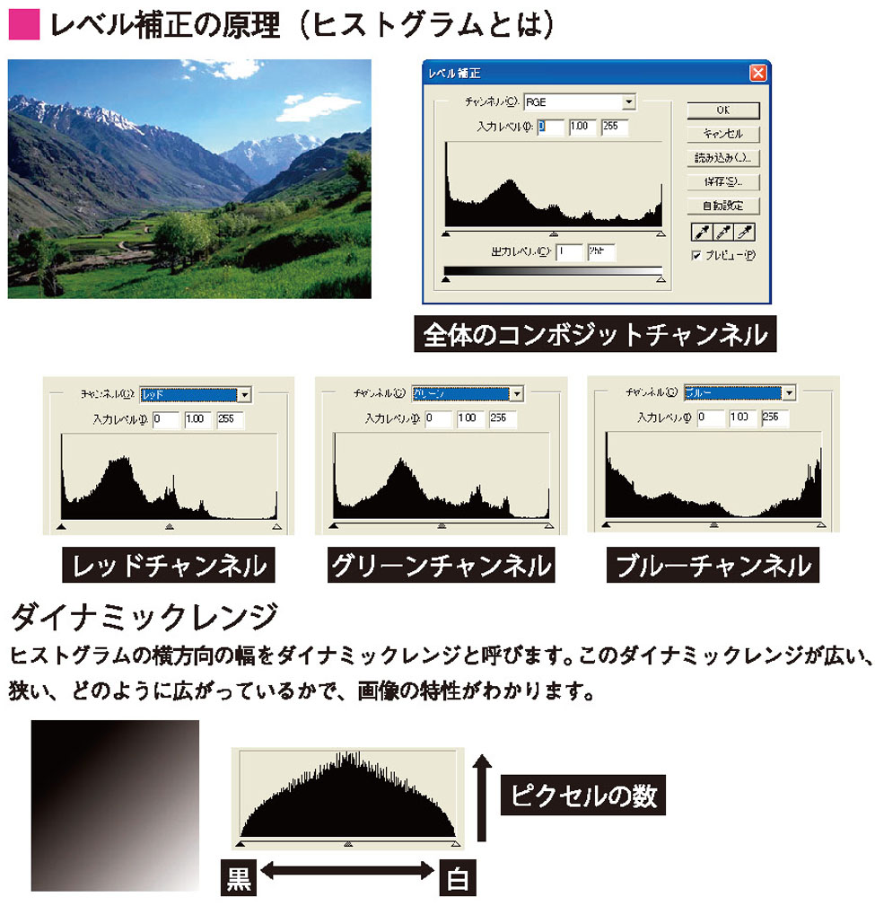 画像ph_cgweb62-1