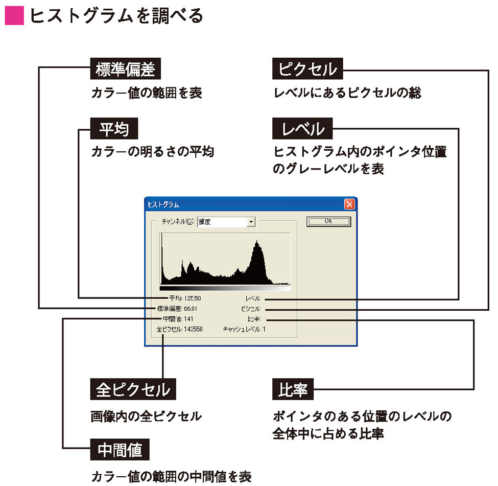 画像ph_cgweb62-6